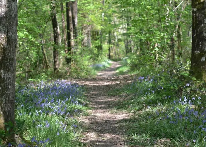Сasa de vacaciones Indépendant Neuf, Idéal Nature Au Calme, Proche Rivières, N147&civaux